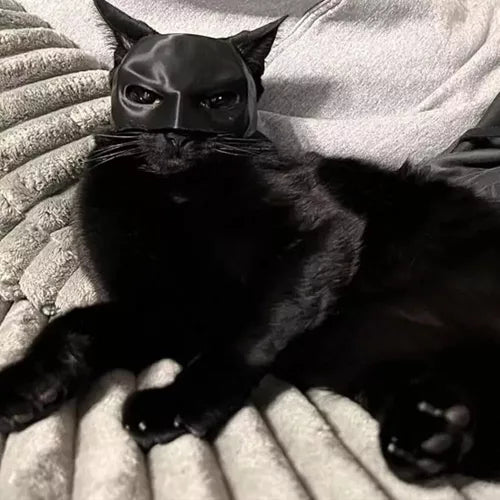 CAT BAT MASK™ 🦇