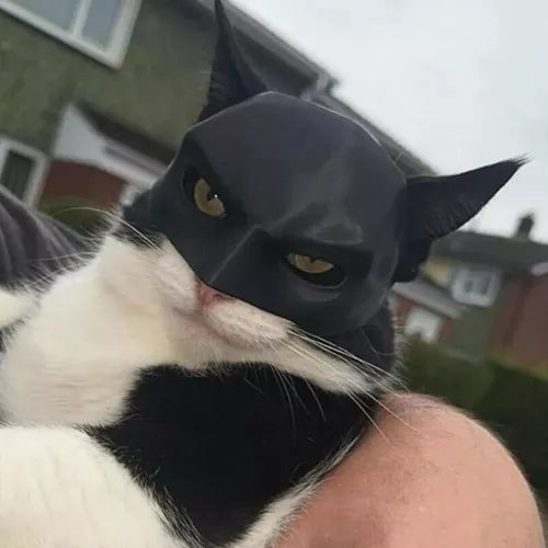 CAT BAT MASK™ 🦇