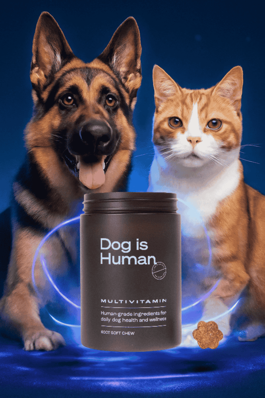 Dog is Human Multivitamin-🐕 Fórmula especializada para la salud diaria del perro