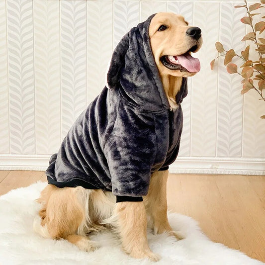 Bunny Dog Hoodie