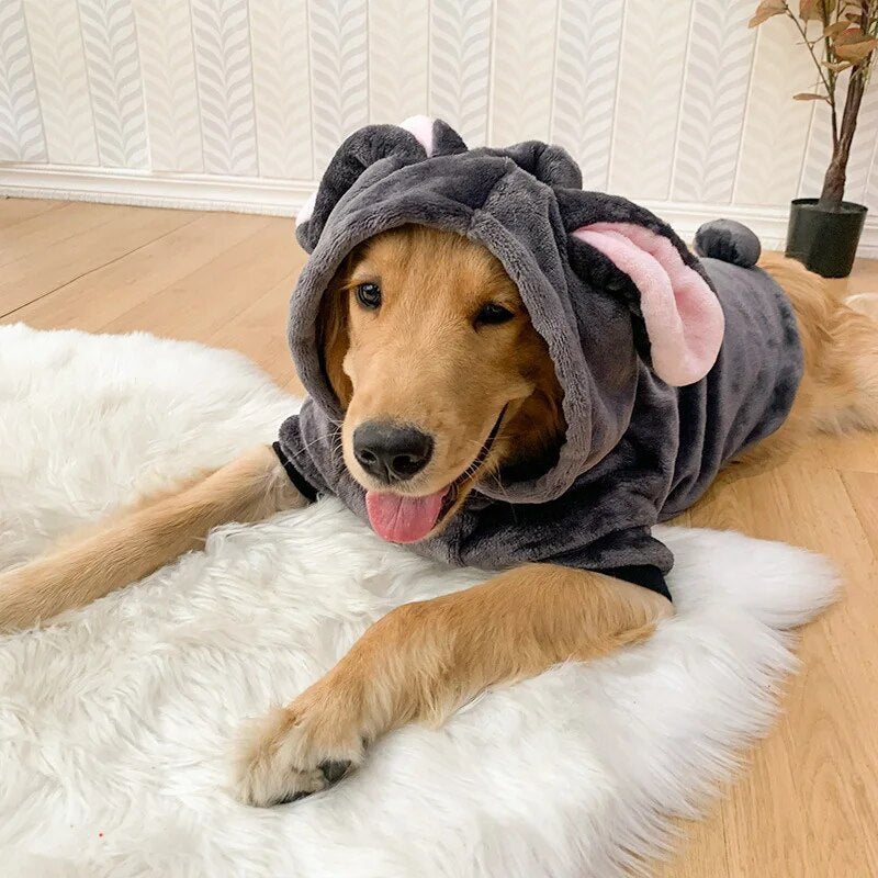 Bunny Dog Hoodie