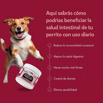 Formula Avanzada - Probiótico Para Perros  🦴🐶✨