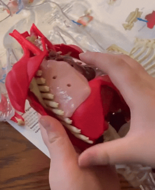 🧠 Mini Doctor Kids: ¡Explora el cuerpo humano!  GRATIS Cartilla
